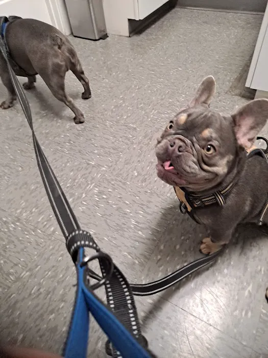 Holton Road Veterinary Clinic 5