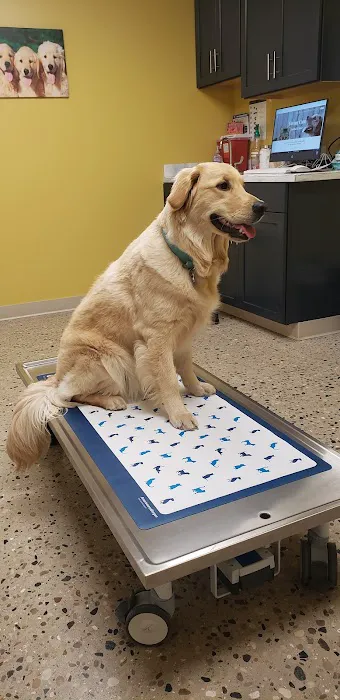 Loving Care Animal Clinic 5