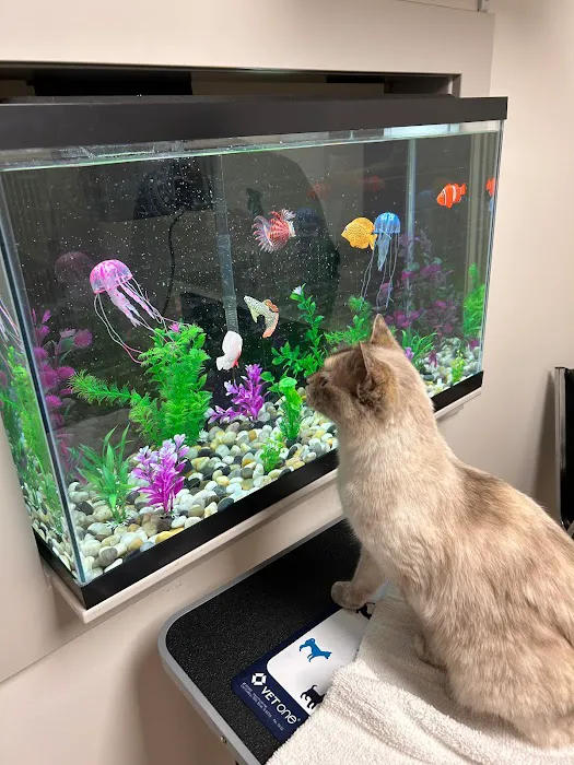 Loving Care Animal Clinic 4