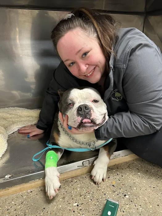 Loving Care Animal Clinic 6