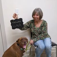 Loving Care Animal Clinic ico