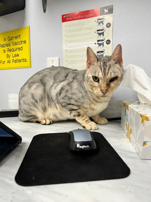 Loving Care Animal Clinic 10