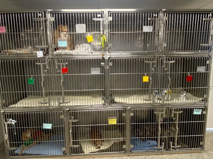 Loving Care Animal Clinic 8