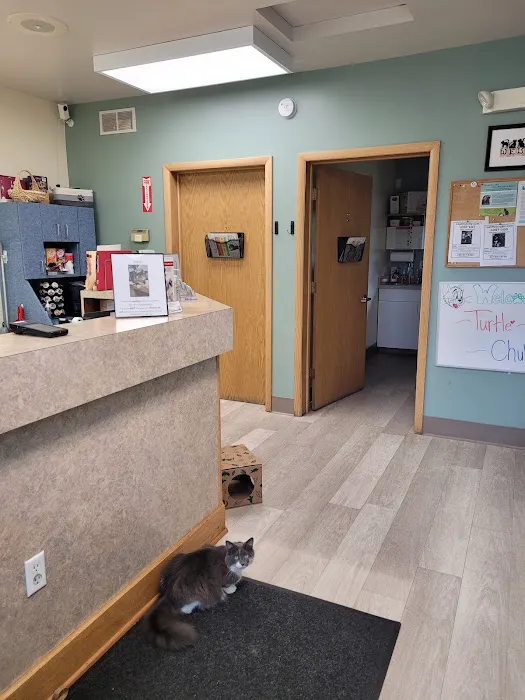 Cat Clinic North 4