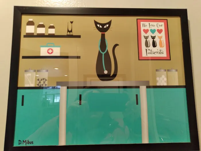 Feline Wellness Center PLLC 2
