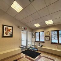 Great Lakes Veterinary Surgical Center ico