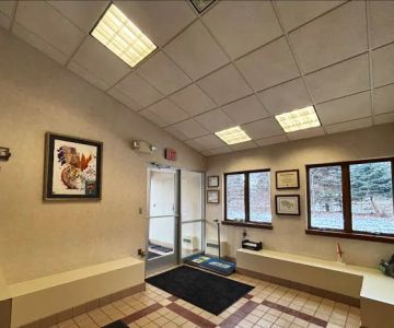 Great Lakes Veterinary Surgical Center
