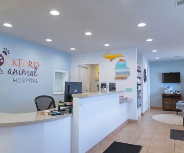 Rockford Animal Hospital