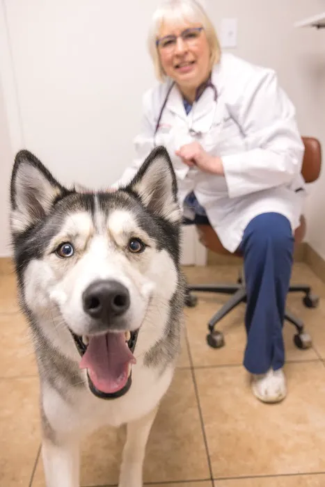 Rockford Animal Hospital 12