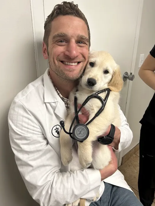Rockford Animal Hospital 12