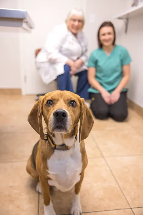 Rockford Animal Hospital 12