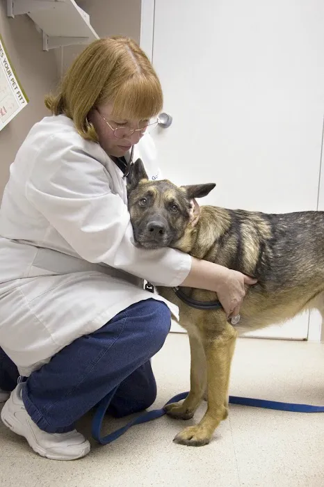 Rockford Animal Hospital 12