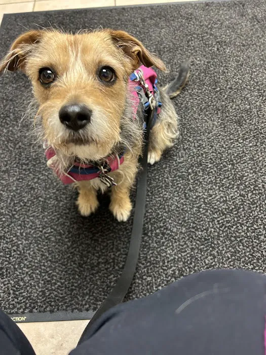 EVS Pet Urgent Care of Northbrook 4