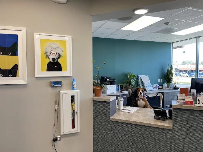 Highland Park Veterinary Clinic 5