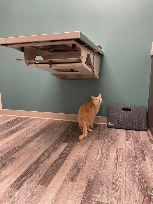 Highland Park Veterinary Clinic 6