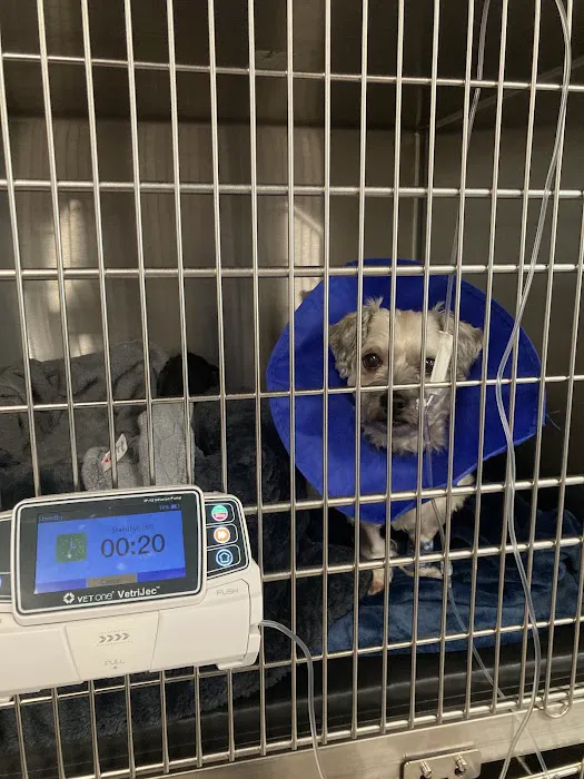 Veterinary Emergency Group 12