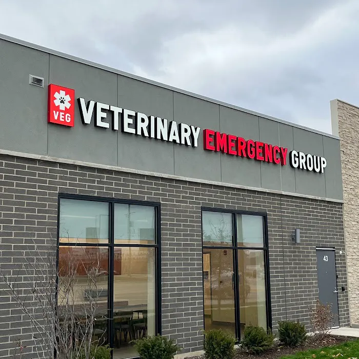 Veterinary Emergency Group 12