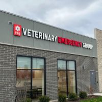Veterinary Emergency Group ico