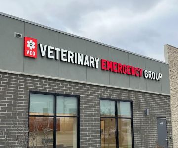 Veterinary Emergency Group