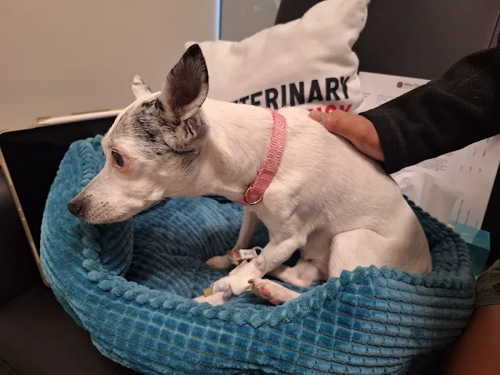 Veterinary Emergency Group 12