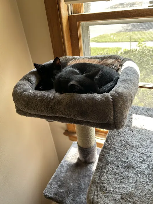 Deerfield Animal Care Center 12