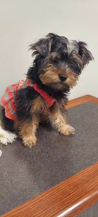 Deerfield Animal Care Center 12