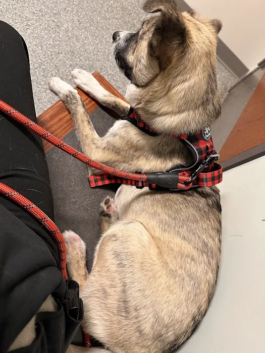 Deerfield Animal Care Center 12