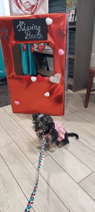 Deerfield Animal Care Center 12