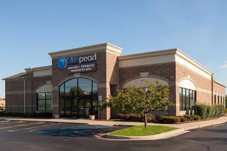 BluePearl Pet Hospital