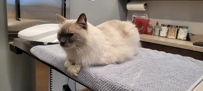 North Shore Family Pet Hospital 12