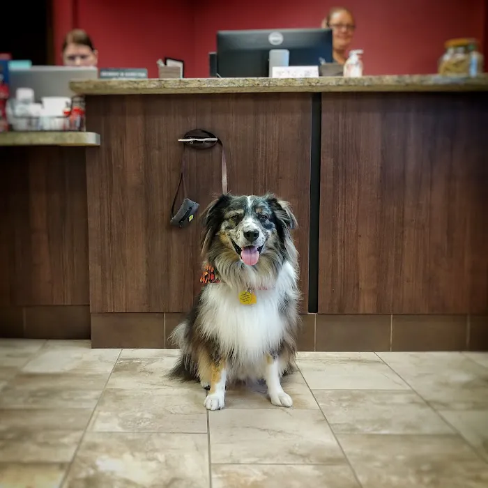 North Shore Family Pet Hospital 12