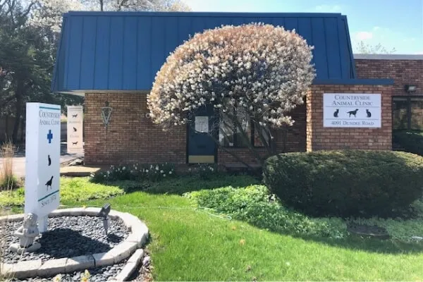 Countryside Animal Clinic PC 12