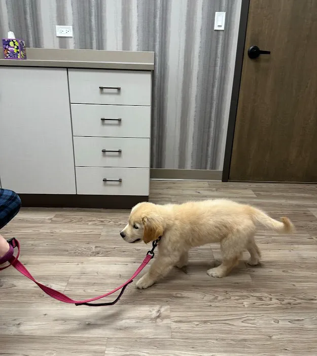 VetMedic - Veterinary Urgent Care 12