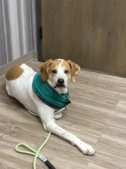 VetMedic - Veterinary Urgent Care 12