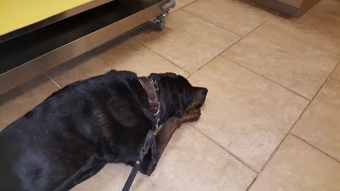 VCA Cairo Animal Hospital 4