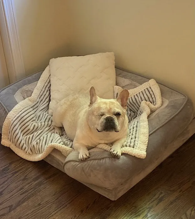 Knollwood Animal Hospital 4