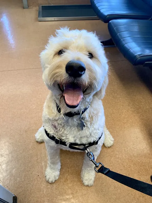 Knollwood Animal Hospital 8