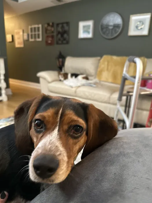 Eye Care for Animals - Wheeling 7