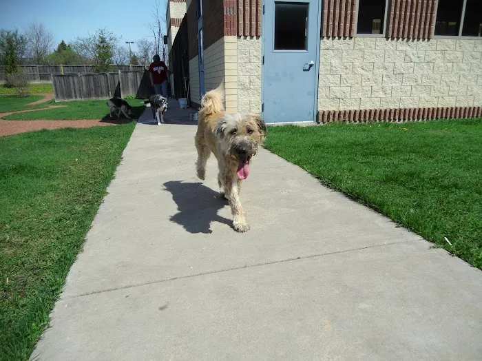 Wheeling Animal Hospital and Pet Resort 12