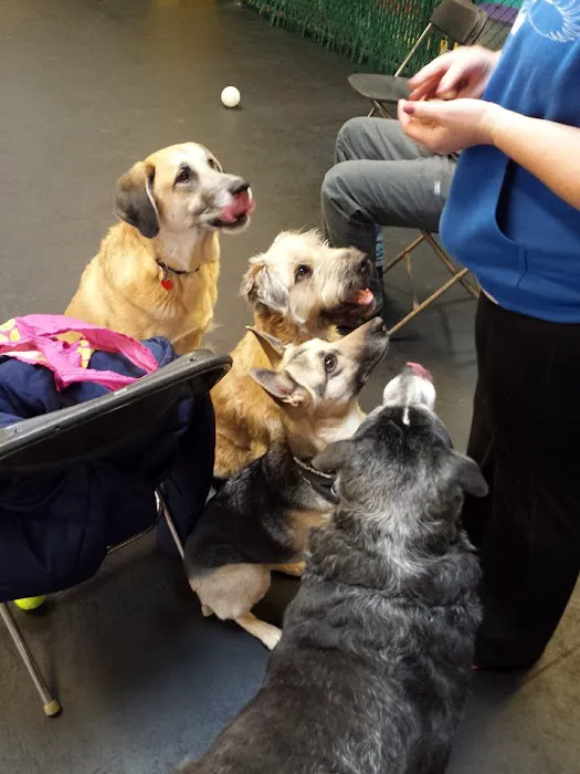 Wheeling Animal Hospital and Pet Resort 12