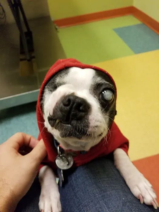 Wheeling Animal Hospital and Pet Resort 12