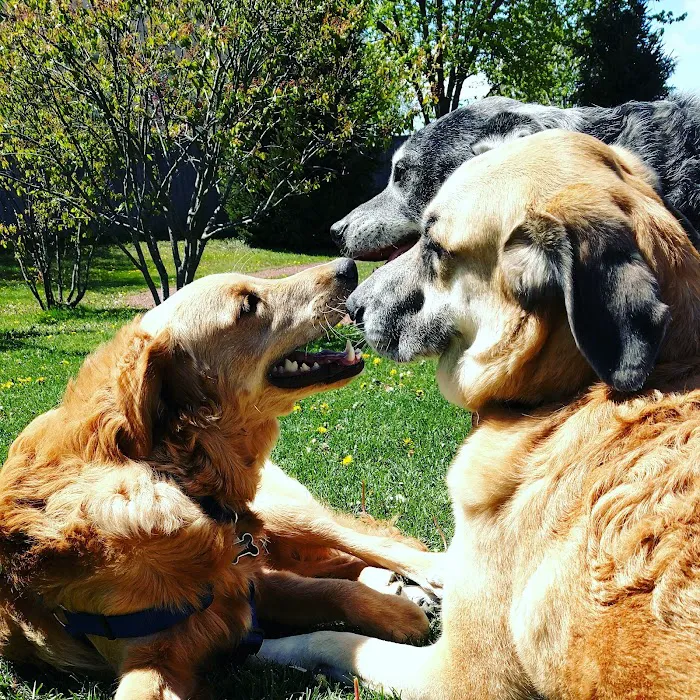 Wheeling Animal Hospital and Pet Resort 12
