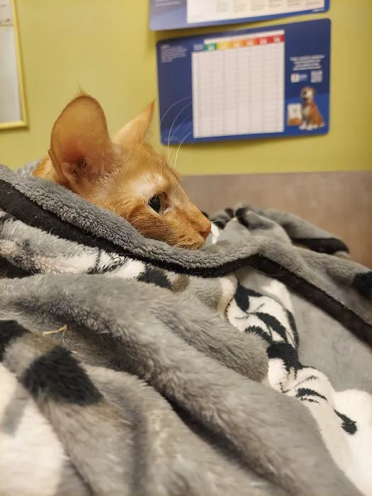 Wheeling Animal Hospital and Pet Resort 12