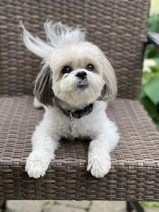 Loving Care Animal Hospital 12