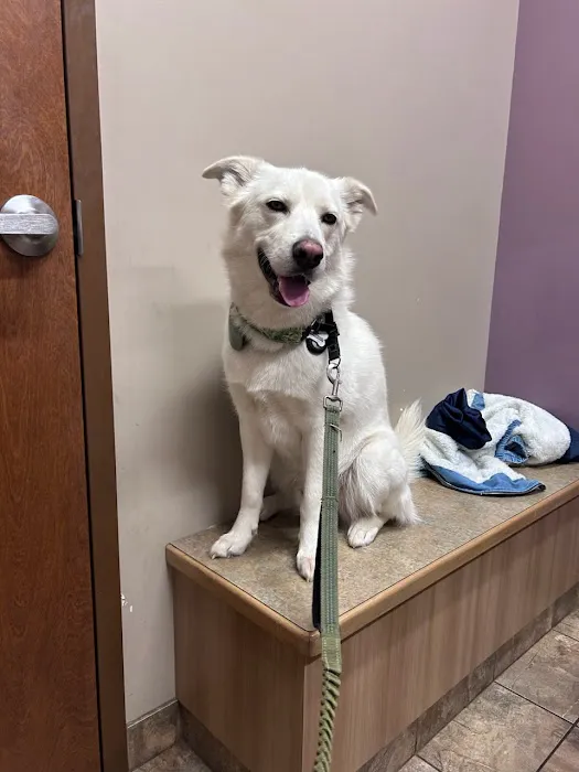 Loving Care Animal Hospital 12