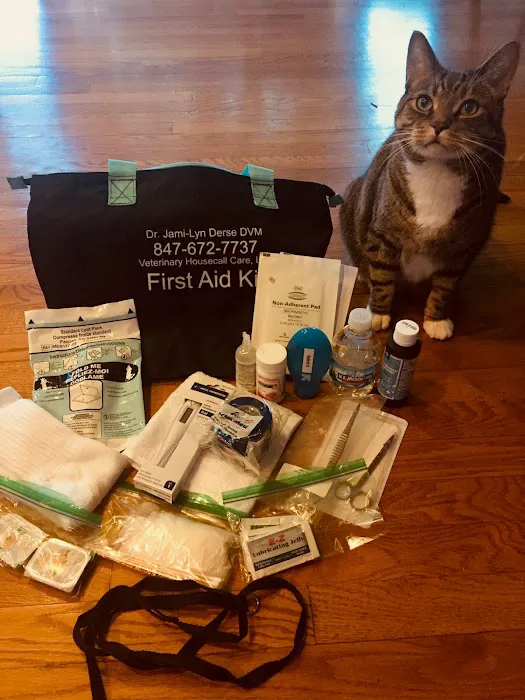 Veterinary Housecall Care 12