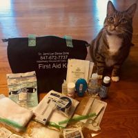 Veterinary Housecall Care ico
