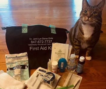 Veterinary Housecall Care