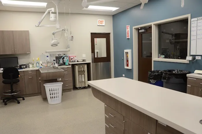 Care Animal Hospital of Libertyville 3