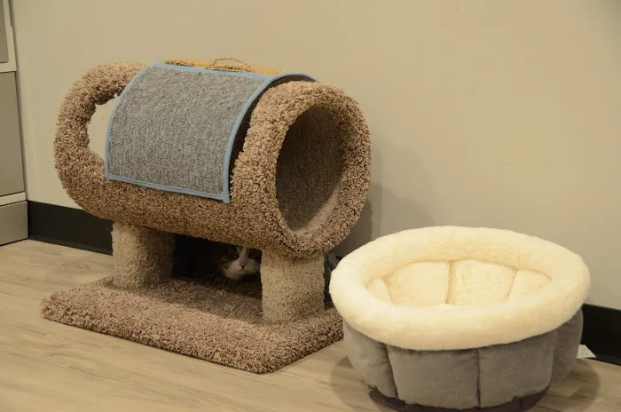 Care Animal Hospital of Libertyville 4